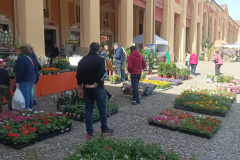 Giardini&Terrazzi Lugo aprile 2024