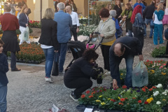 Giardini&Terrazzi Lugo aprile 2024