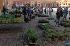 Giardini&Terrazzi Lugo aprile 2024