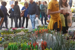 Giardini&Terrazzi Lugo aprile 2024