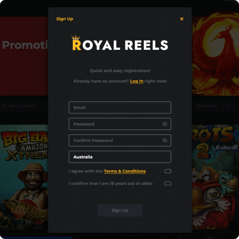 Checking Out Royal Reels: A Complete Overview for New Athletes